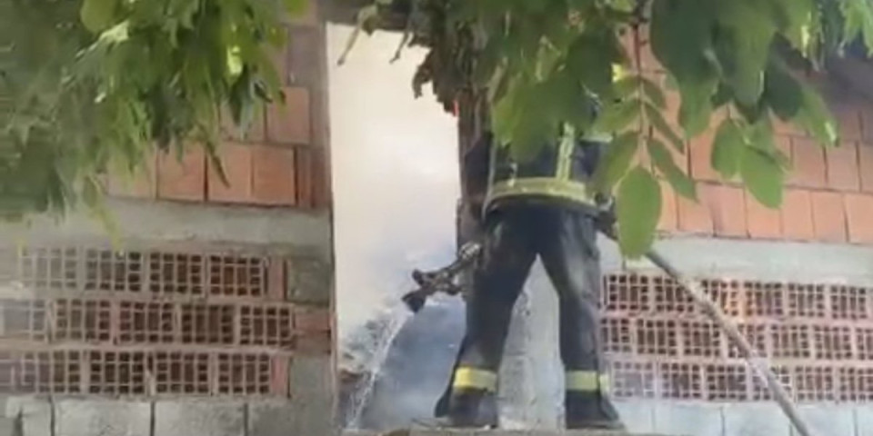 Požar kod Loznice: Vatrogasci ulažu napore da spreče širenje vatre (FOTO)