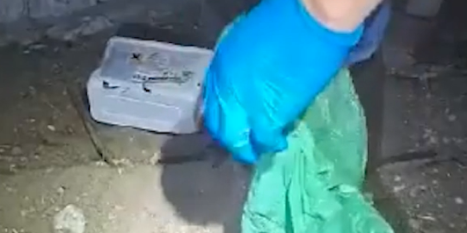 Policija iskopala zakopani novac: Pronađen deo plena nakon ubistva vlasnika piljare na Karaburmi (FOTO, VIDEO)