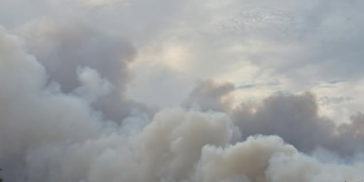 Objave Darka Tanasijevića