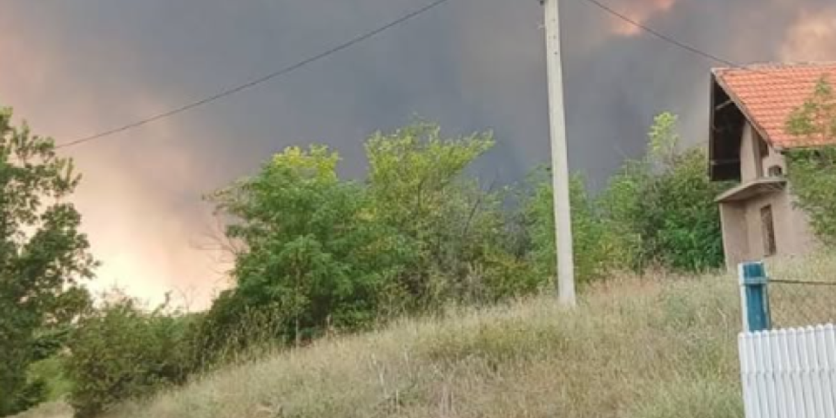 Objave Darka Tanasijevića