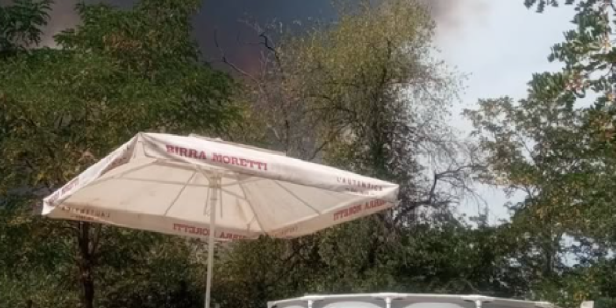 Objave Darka Tanasijevića