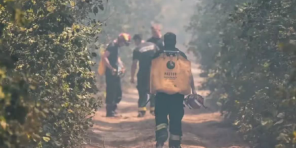 Otkriveno koliko je šume izgorelo u Deliblatskoj peščari: Požar se širi, na terenu 20 buldožera