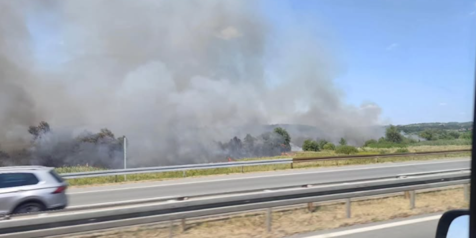 Gust dim kod Umčara: Požar buknuo tik uz autoput (FOTO/VIDEO)