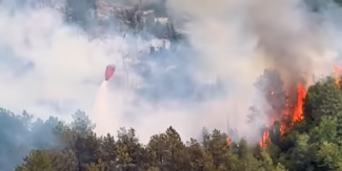 Požar u Deliblatskoj peščari