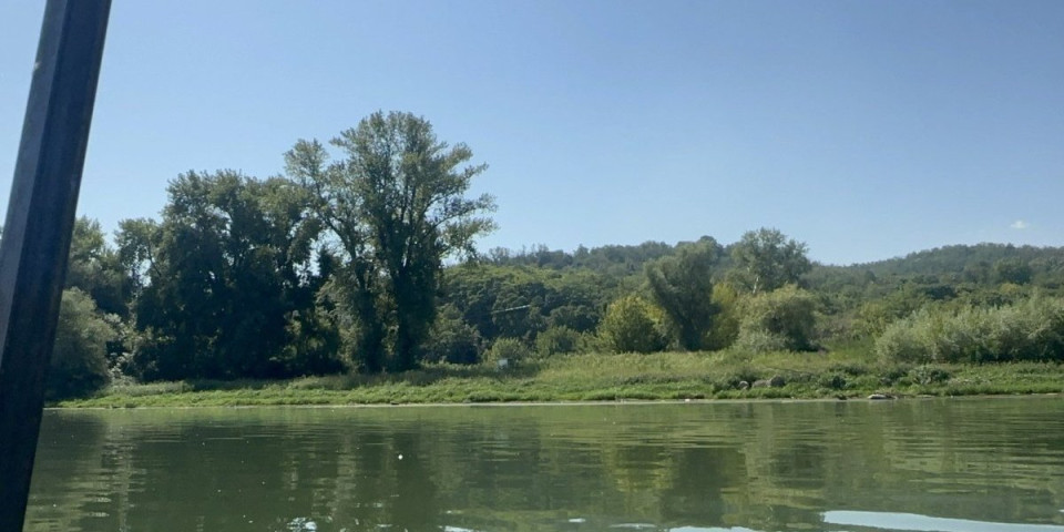 Ovde se utopio muškarac kod Bele stene: Uskočio u Dunav da se rashladi i nije isplivao (FOTO/VIDEO)