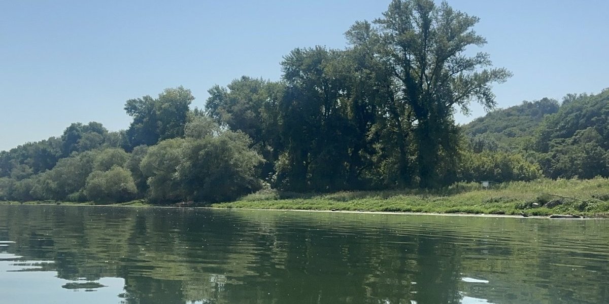 Dunav