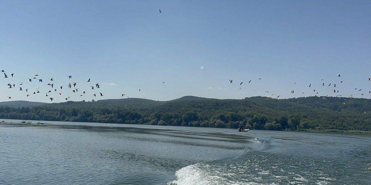 Dunav