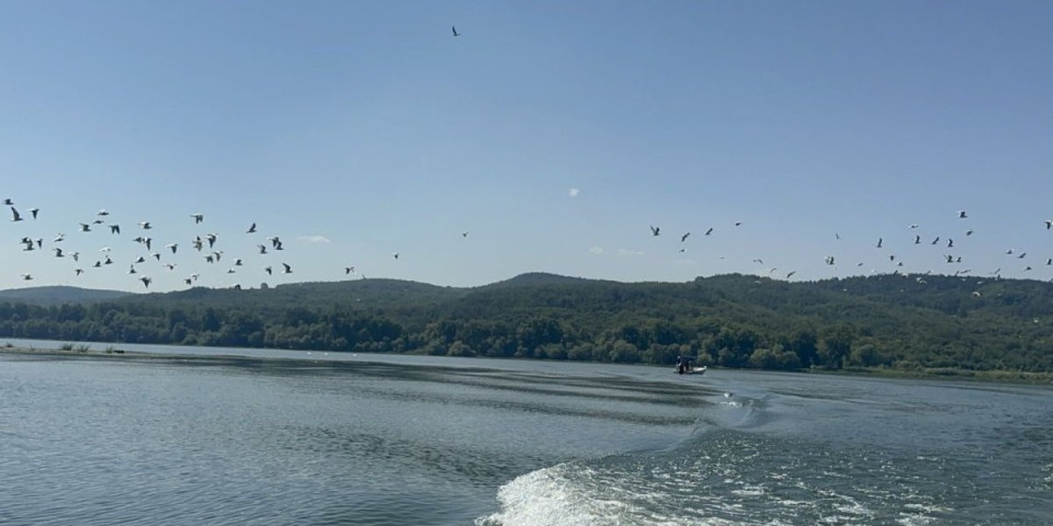 Šok u Dunavu! Usijale se mreže zbog čuda koje je isplivalo - Čovek našao nešto neverovatno (FOTO)