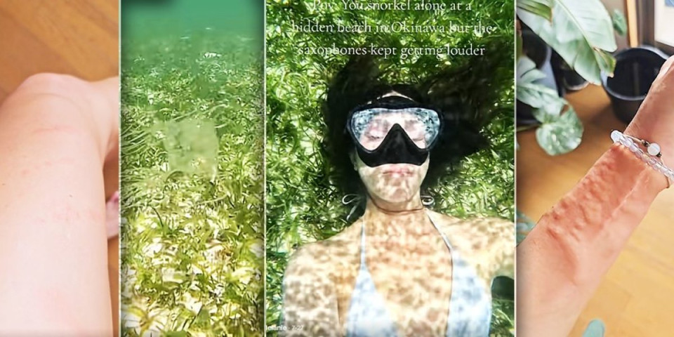 Ušla u more, a onda usledio horor: Okružile je opasne nemani, jedva spasila živu glavu (VIDEO)