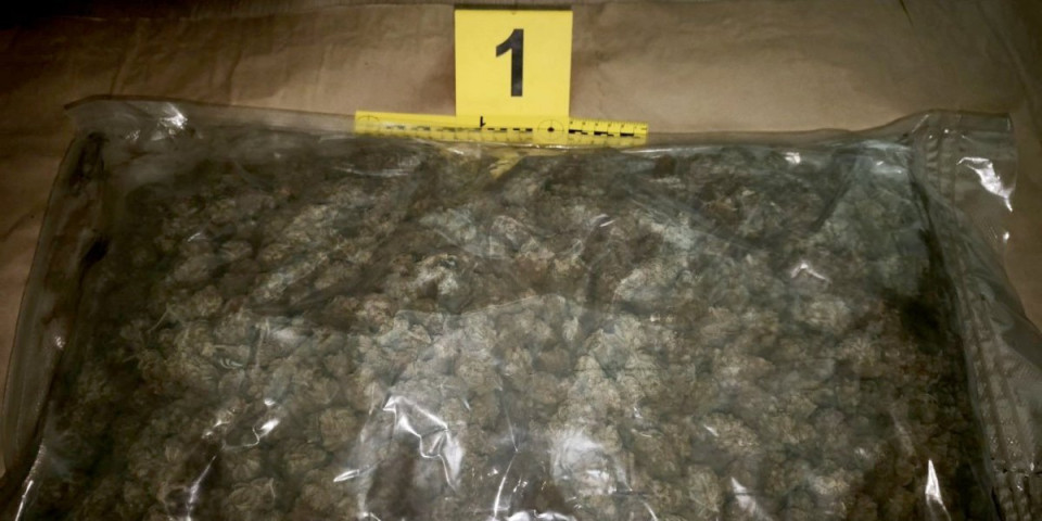 Marihuana na Filozofskom fakultetu! Policija u dvorištu našla 170 grama droge