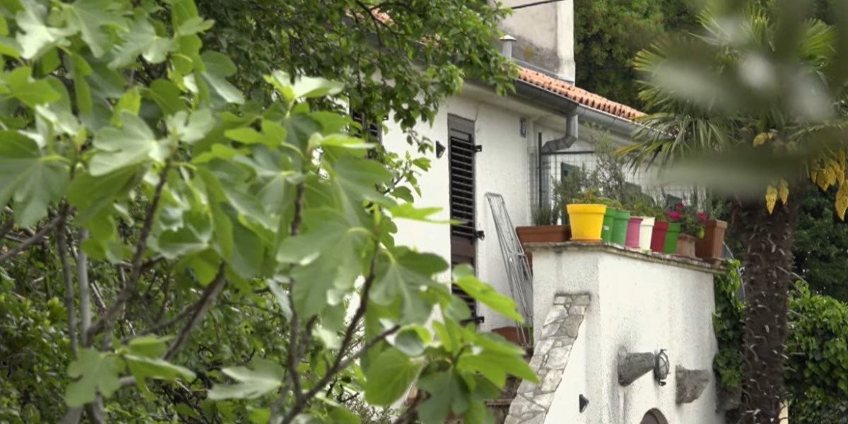 Kuća Vedrane Rudan