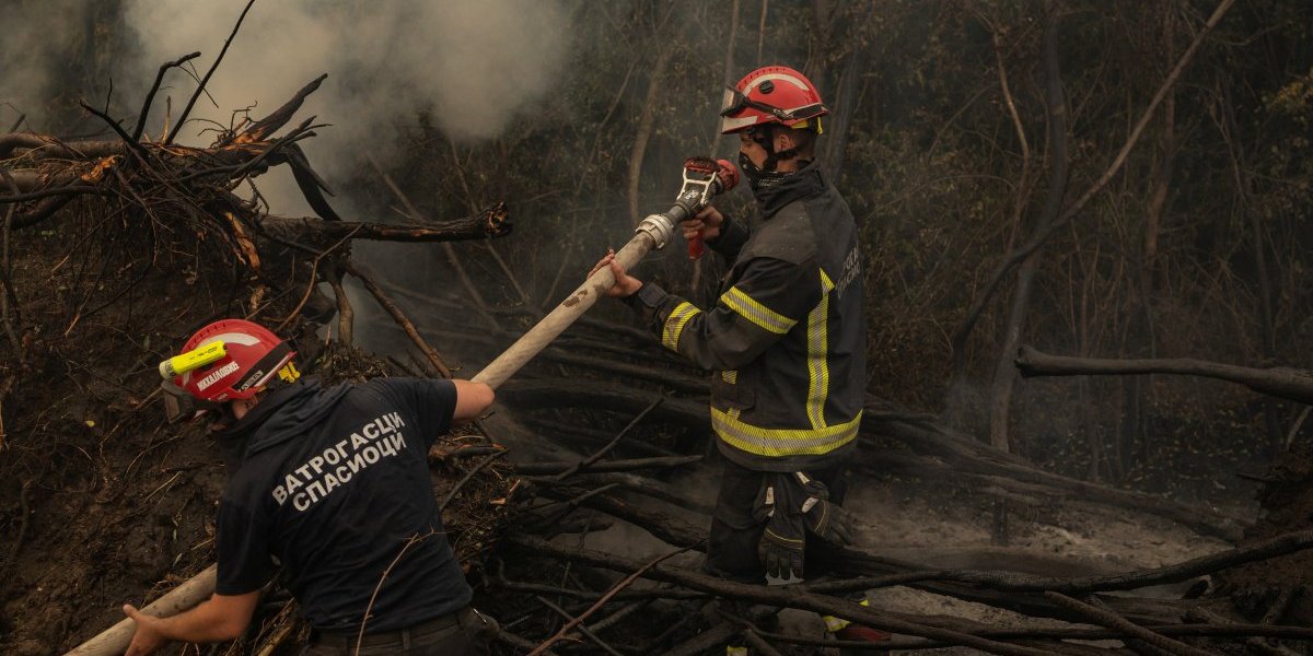 Posledice požara u Deliblatskoj peščari