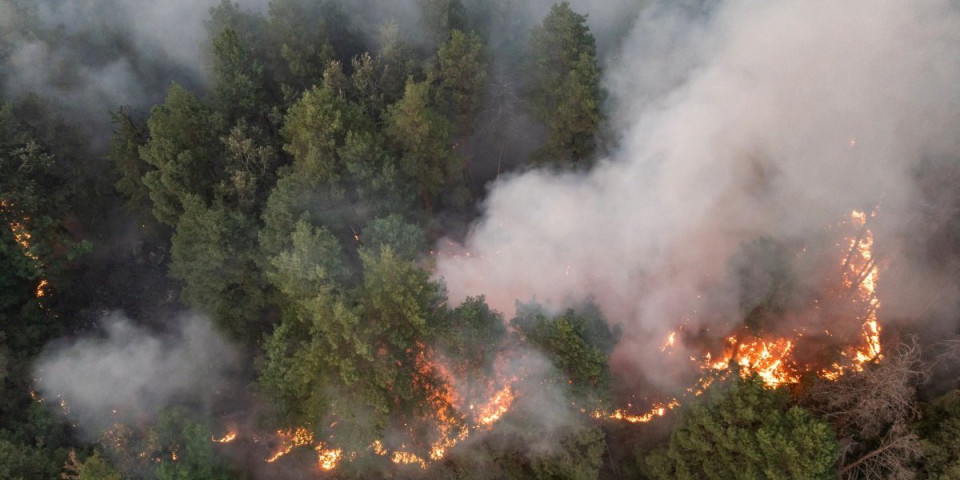 Plamen guta sve pred sobom! Heroji i ruska zver danonoćno u borbi sa požarom: Pogledajte novi jezivi snimak zgarišta Deliblatske peščare (VIDEO)