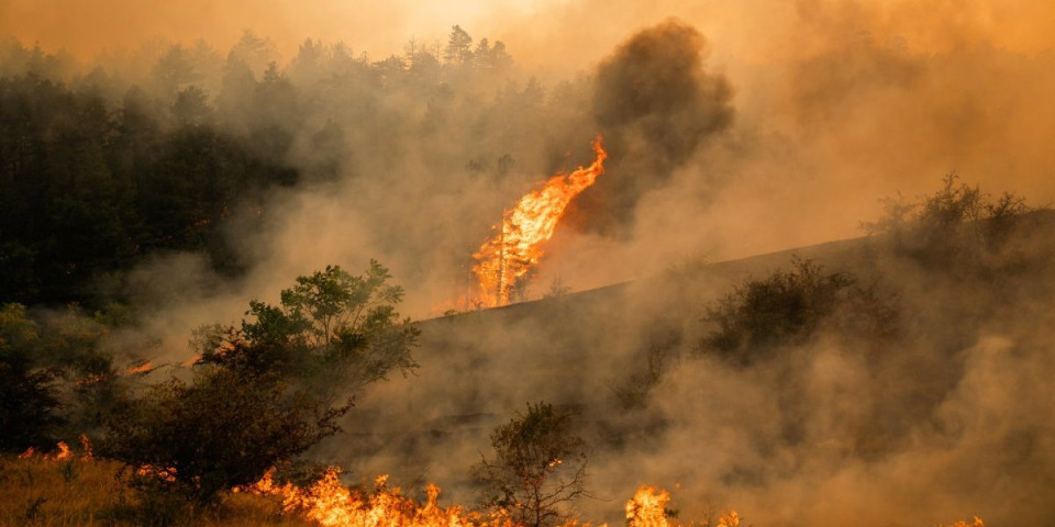 Tri vatrogasca jedva preživela! Otkriveno zašto požar u Deliblatskoj peščari i dalje bukti - Jedan detalj budi posebnu jezu