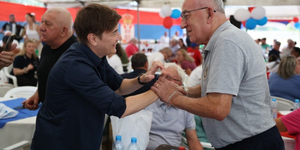 Džabe vam pretnje i teror, Srbija sve vidi: Brnabić odgovorila blokaderima iz Knjaževca - Građani su ih već pobedili! (FOTO)