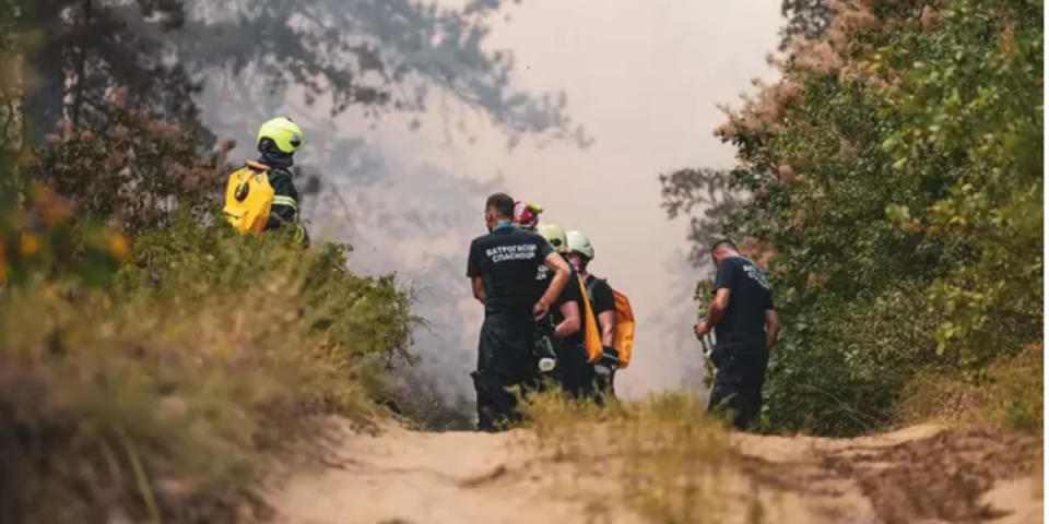 Prizor iz Deliblatske peščare topi srca: Usred vatre našao ovog malog (VIDEO)