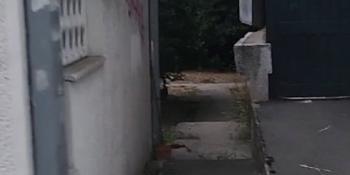 mesto silovanja bake na Banovom brdu