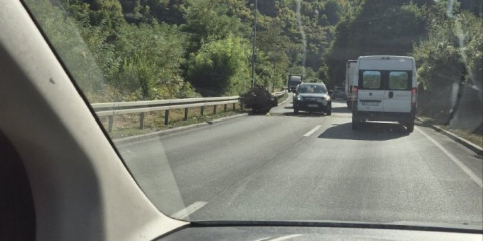 Šta je ovo nasred magistrale: Vozači gube živce