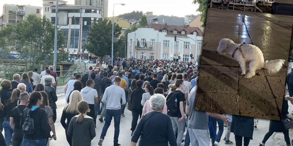 Dno dna! Psa koji vrši nuždu na trgu objavili kao doček za predsednika Vučića (VIDEO)