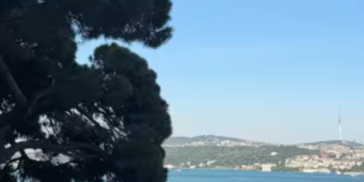Stan Emine Jahović