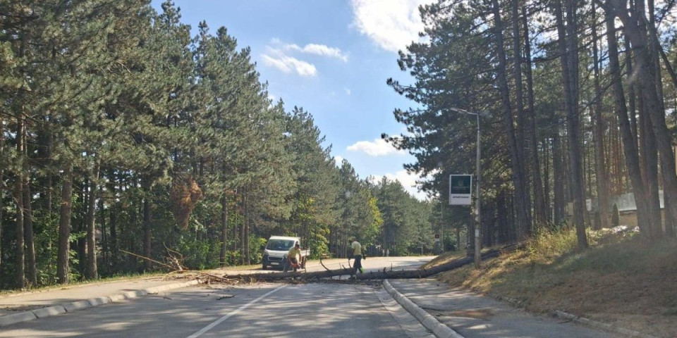 Za dlaku izbegnut incident: Izvalio se preko puta celom dužinom