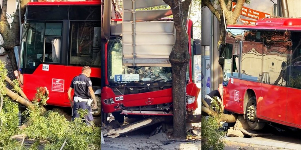 Drama u Nišu: Vozaču pozlilo, pa se autobusom zakucao u drvo - Ima povređenih (VIDEO)