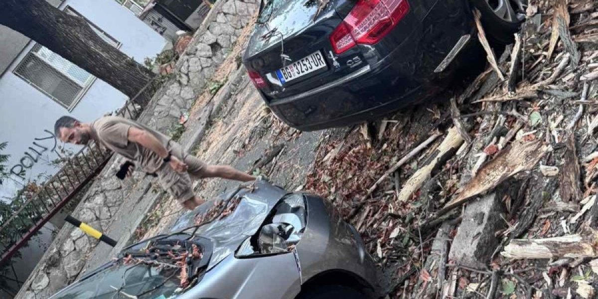 Jak vetar oštetio je više parkiranih automobila u Ulici Ćirila i Metodija na Zvezdari