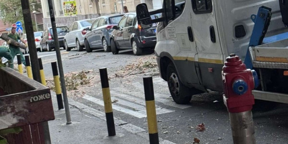 Jak vetar oštetio je više parkiranih automobila u Ulici Ćirila i Metodija na Zvezdari