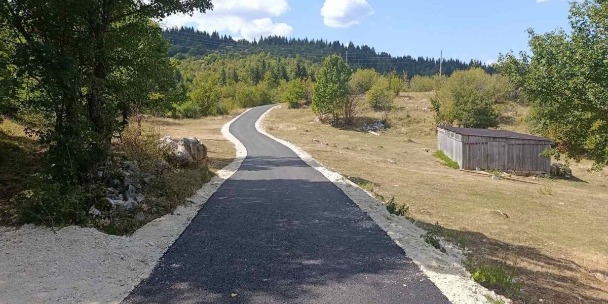 Asfaltiran put do kuće porodice Ilić