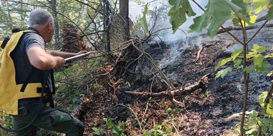 Jači od vatrene stihije! Vatrogasci izvojevali veliku bitku, odbranjeni "Alpi na jugu Srbije"