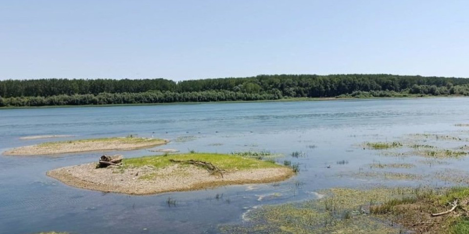 Horor u Beogradu! Pronađeno telo muškarca u Savi - prolaznici videli kako pluta rekom