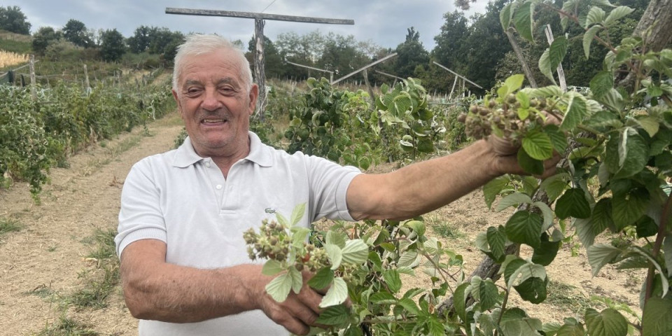 Perišu je malina opet iznenadila! Ono što se desilo, on u svom životu još nije video (FOTO)
