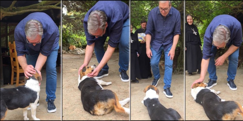 "Žanka mi je baš ulepšala dan!" Vučić sreo napuštenog psa čudesne duše, pa joj dao prelepo ime (VIDEO)