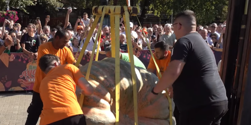 Iznenađenje na Danima ludaje u Kikindi: Petorica su nosila najtežu (VIDEO)