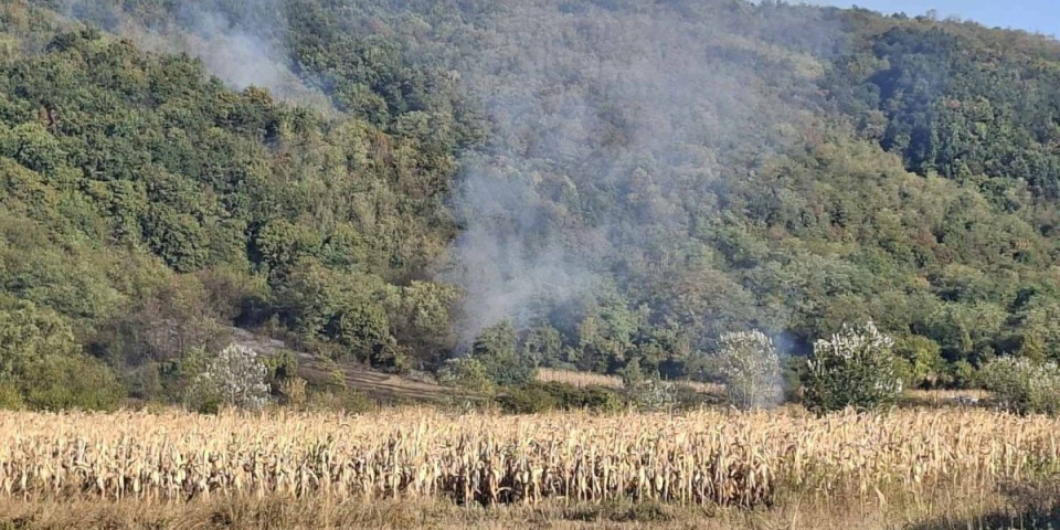 Izbio požar kod Kučeva: Selo se ne vidi od dima (VIDEO)