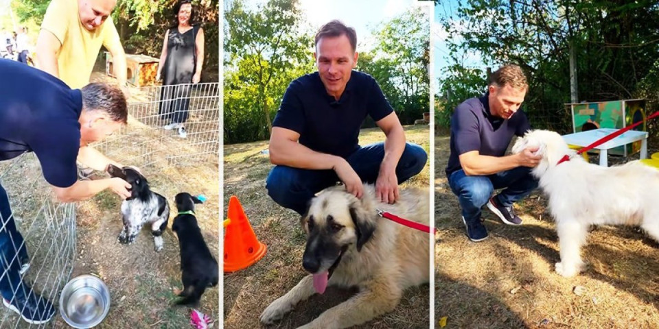 Dokaz da Beograd brine o svima! Pogledajte emotivne kadrove Siniše Malog iz prihvatilišta u Resniku (VIDEO)