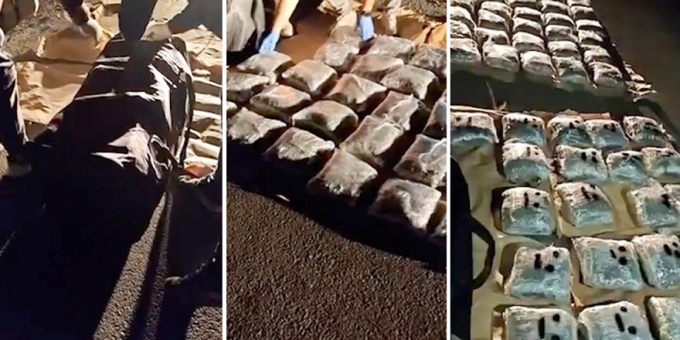 Dileri sa Kosova pali prilikom primopredaje kod Obrenovcu! Pronađeno im 60 kilograma marihuane (FOTO/VIDEO)