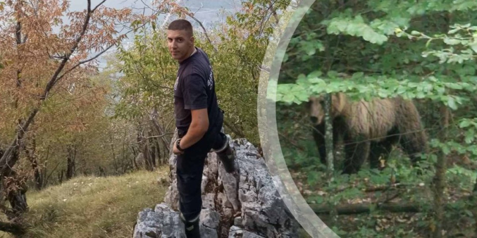 Ljudi prebledeli od straha kad su čuli medveda: Vatrogasac otkrio detalje drame na Tari