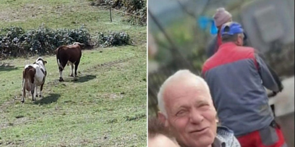 Nezapamćen horor u komšiluku: Agresivni bik izbo vlasnika nasmrt, čovek izdahnuo pred kućom