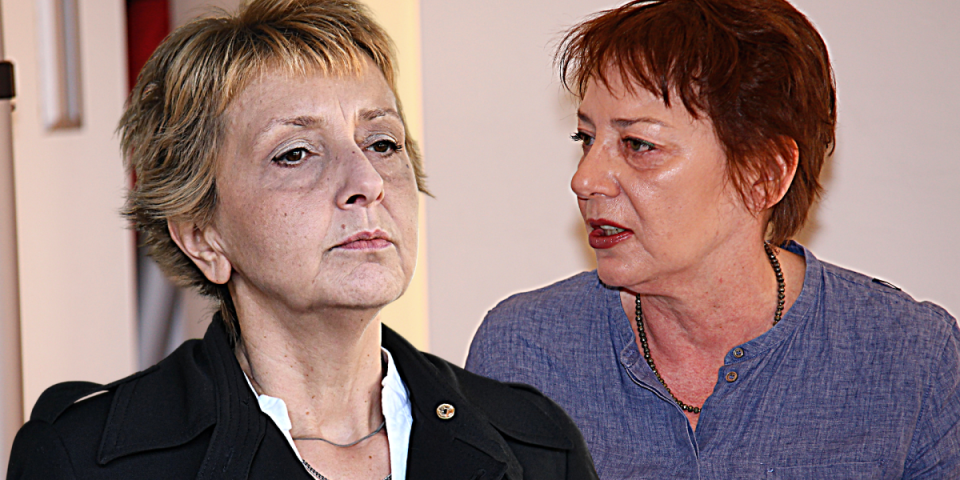 Politički kokošinjac! Riha: Ne dopadaju nam se vaši sirotani sa liste! Dabrica: Ne vređajte mi inteligenciju!