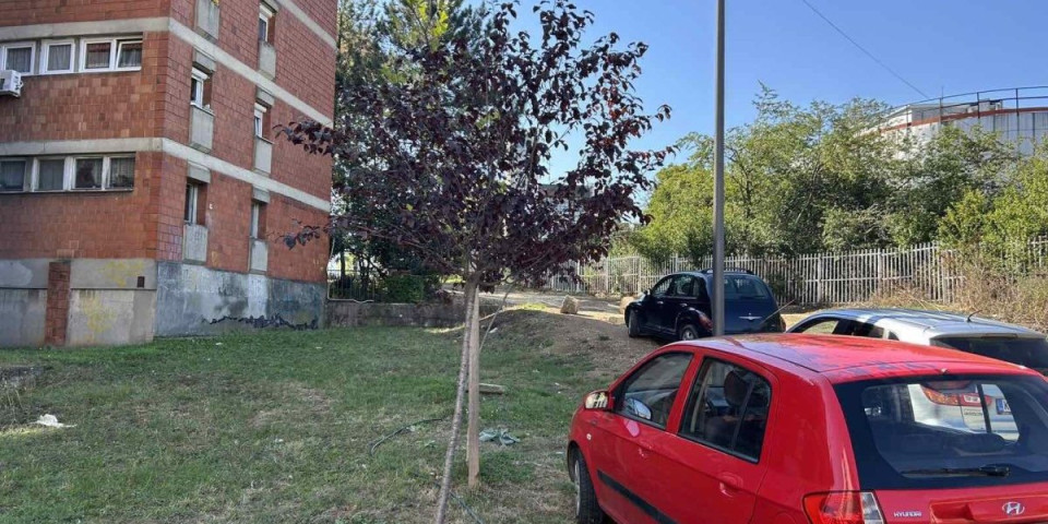 Otkrivamo ko je ranjeni muškarac u pucnjavi u Kragujevcu: Od ranije je poznat policiji (FOTO)