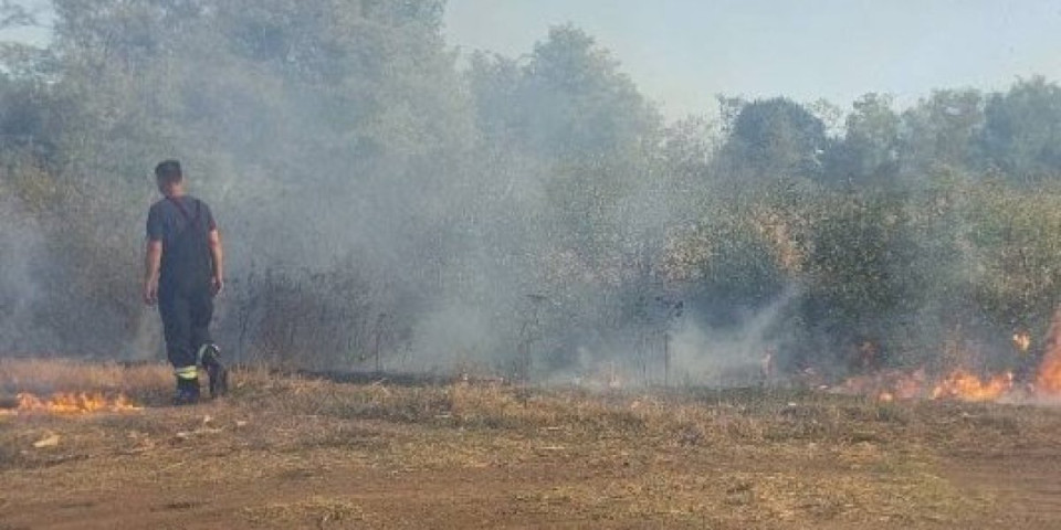 Kazne za paljenje strnjike: Šestoro ih uhapšeno, 70 privedeno na razgovor