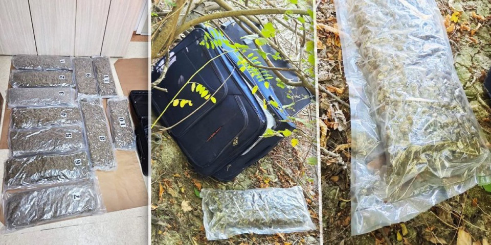 Policija presekla lanac krijumčarenja kod Novog Sada: Čim je video da je u klopci, dao se u beg - Auto sa hrvatskim tablicama krcat drogom (FOTO)