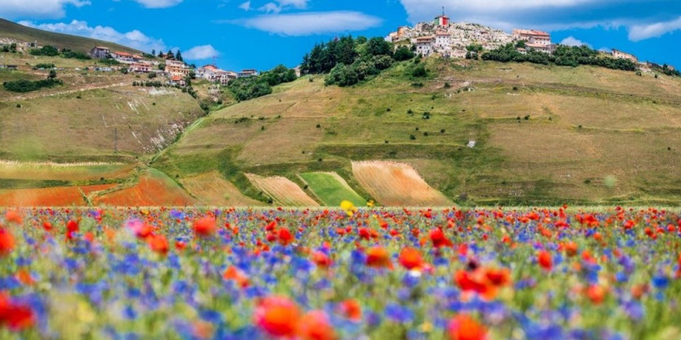 Ovo mesto u Italiji izgleda kao iz bajke: Polja eksplodiraju bojama, ali jezero krije jezivu tajnu (FOTO)