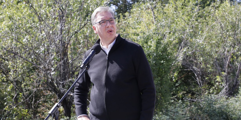 Blokaderi udarili na Vučića! Kada Picula, Milo i Plenković podržavaju blokadersku listu, onda to nije mešanje u izbore?! (FOTO)