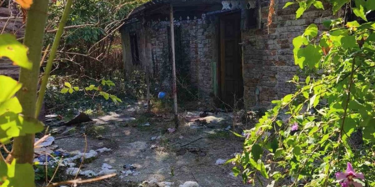 Rodna kuća Predraga Živkovića Tozovca