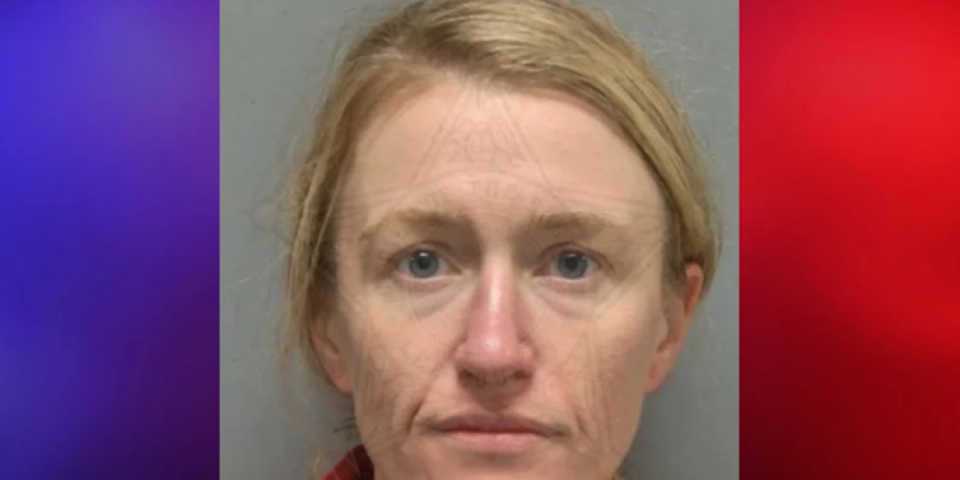 Žena se dopisivala sa AI, a onda je upala policija i uhapsila je! Veštačka inteligencija se šokirala porukama, pa je hitno prijavila