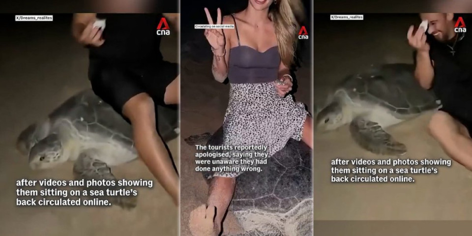Ukrajinski par zajahao kornjaču dok je polagala jaja: Skandalozno ponašanje zgrozilo svet (VIDEO)