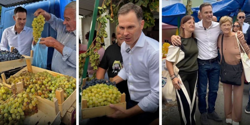 Oplenačka berba podstiče razvoj vinarstva! Siniša Mali iz Topole: Glas za SNS je glas za tradiciju, razvoj i napredak Srbije (VIDEO)