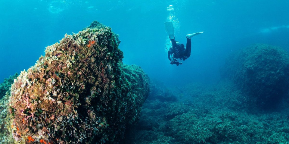 Misterija sa dna Mediterana: Arheolozi otkrili tragove drevne trgovine